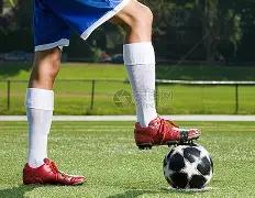 斯维托丽娜,击败库德梅,托娃,世界杯比分,2026世界杯,实时比分,比赛分析,足球赛事