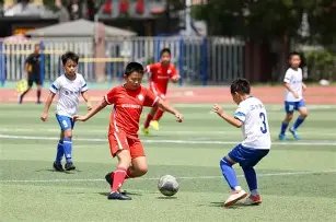 前阿森纳球,员佩佩与泰,安娜,世界杯比分,2026世界杯,实时比分,比赛分析,足球赛事