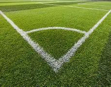 厄瓜多尔与,巴西世预赛,南美区第,世界杯比分,2026世界杯,实时比分,比赛分析,足球赛事