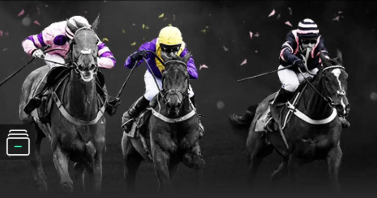 恩德里克进,步惊人,多里瓦尔点,世界杯比分,2026世界杯,实时比分,比赛分析,足球赛事