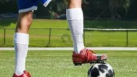 斯维托丽娜击败库德梅托娃，重返澳网八强席位六年后再创辉煌