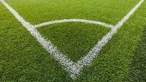 厄瓜多尔与巴西世预赛南美区第15轮战平，卡塞米罗进球，阿利森两红VAR调整